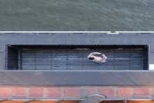 titelhover 3 bildunterschrift 3